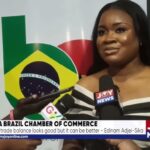 Edinam Adjei-Sika – President, Brazil-Ghana Chamber of Commerce